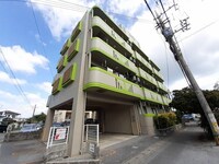 ピューア大恵