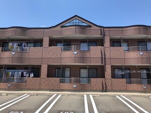 一本松