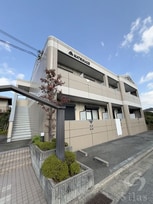 MATSUKAZE　