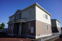 モーニング グローリー A