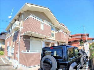 花椿