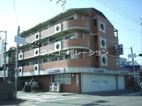 グレースサンシャイン