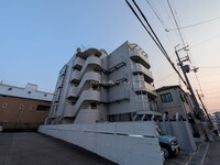 シロハイヌ武庫之荘