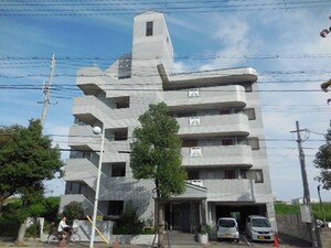 ルピナス園田