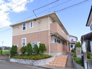 マグノリア