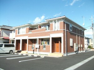 サンフラワー B