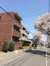 桜ハウス