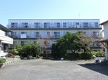 風香535