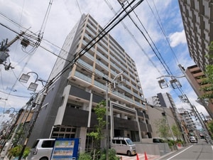 パラゴン梅南