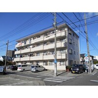 フローレスヤマワキ