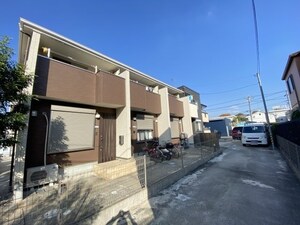 プラシデス幸