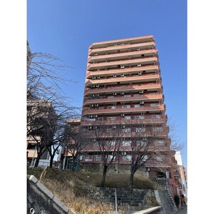 シャンボール芳野