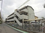 ピンリーブル1