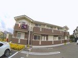 プラシード