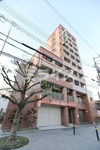 エクセレント上新13