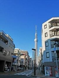 ファルファーラ