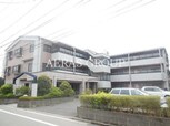 ハーネス真南風