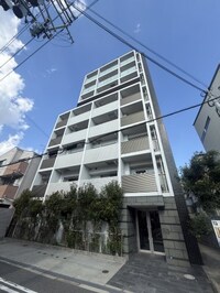 ファーストエフレシア姫里