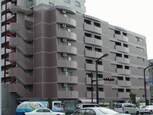 ラピス雨宮