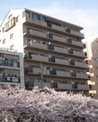 バイムフルス白金Ⅰ