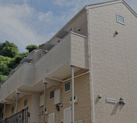 ＣＡＰＥ ＣＯＤ 杉田