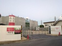 ローズ　ライン