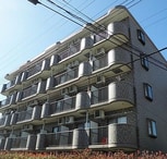 Nasic柏