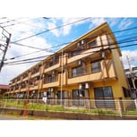 エバーグレイス分倍