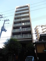 Chrysantheme West