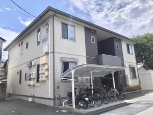オーキッド