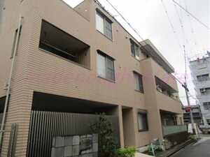 エムエフジィコート