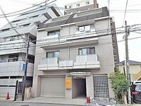 ラクーンドッグ