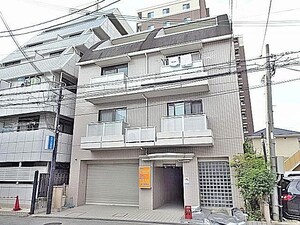 ラクーンドッグ