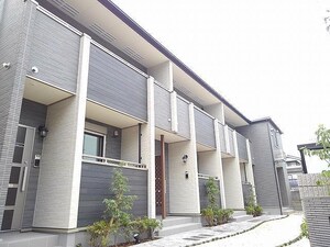 シュシュ・ボワ　ヴェール
