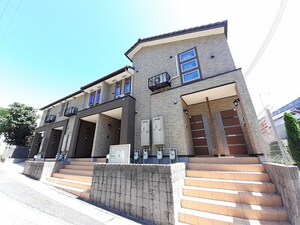 キャメルチュイール