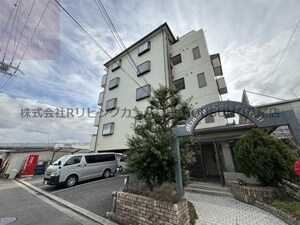 エバーグリーン