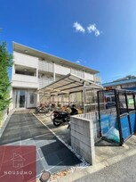 エバーグリーン