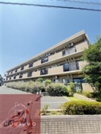 Dear　Court明の春