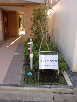 セレシア西巣鴨