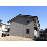 アムール　ジャニス