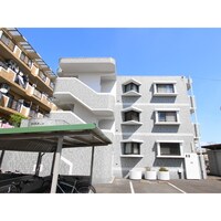 ウィスタリア