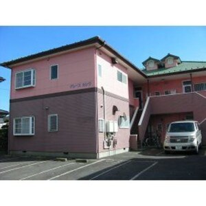 グレースカシワ