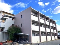 ドゥジェーム・パレー