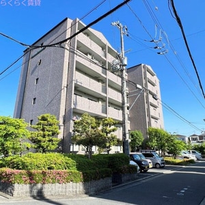 エオリアンハープ