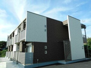 ミランダミーチェ