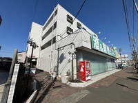 キャンベラ24