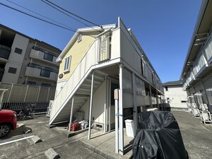ピアベルテA