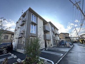 オリーブ