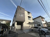 シトラスコート