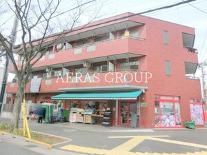 メゾンコダカ